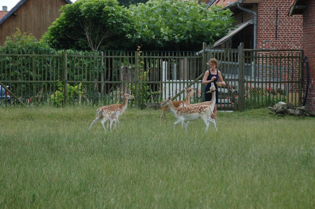 B&B De Rentmeesterhoeve Reningelst エクステリア 写真