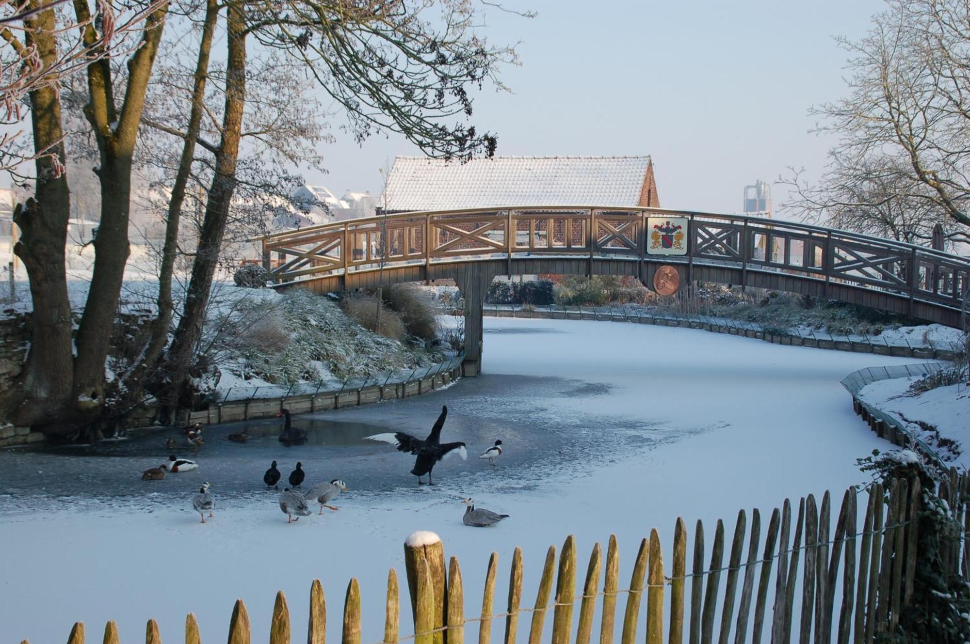 B&B De Rentmeesterhoeve Reningelst エクステリア 写真